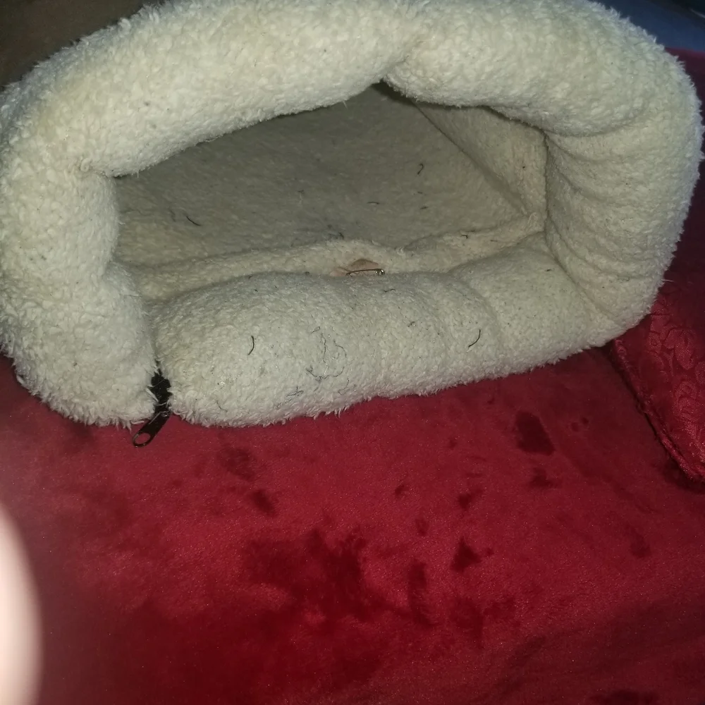 Cat bed and tunnel